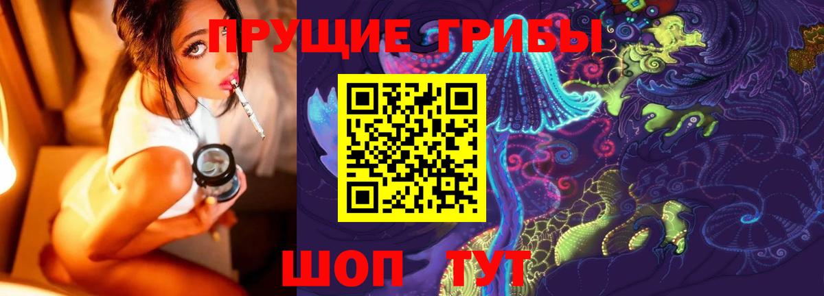 Галлюциногенные грибы GOLDEN TEACHER  Вход с VPN  Новороссийск  Псилоцибиновые грибы Cubensis 